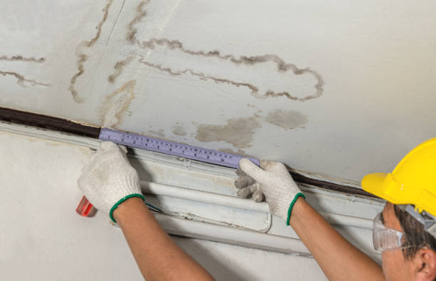 Reliable Basement Water Removal contractor in Pueblo, CO by Water Damage Irwin
